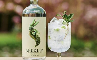 Mocktail: Seedlip 108 Gin Alkoholfri Gin & Tonic