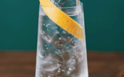 Mocktail: Seedlip 94 Spice Gin Alkoholfri Gin & Tonic