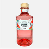 G'Vine June Watermelon Gin